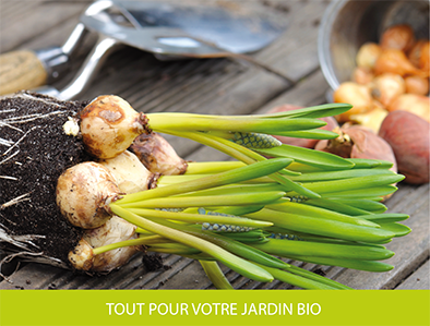 Tout pour votre jardin bio