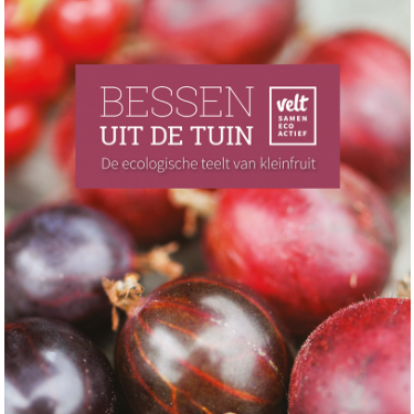 Bessen uit de tuin. De ecologische teelt van kleinfruit. Velt.