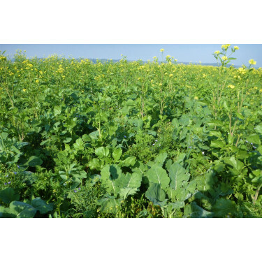 Mélange pour la biodiversité - 25 kg - BIO