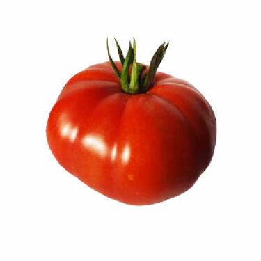 Tomate - Pantano - BIO