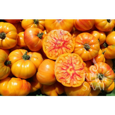 Tomate - German Gold - BIODYNAMIQUE