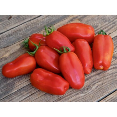 Tomate Roma - San Marzano - BIODYNAMIQUE