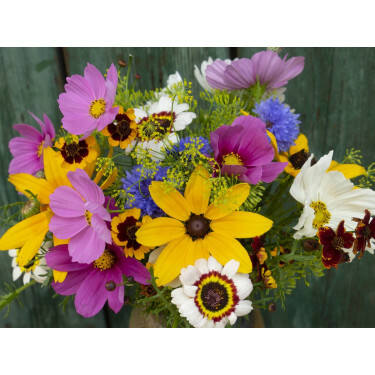 Mélange de fleurs d'été - Bauerngarten (Fleurs de jardin du ferme) - 1 g - pour 1 m² - BIODYNAMIQUE