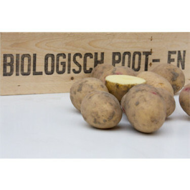 Plants de pomme de terre, Carolus taille 28/35 - 1,38 kg (50 pièces) - BIO - disponible semaine 7