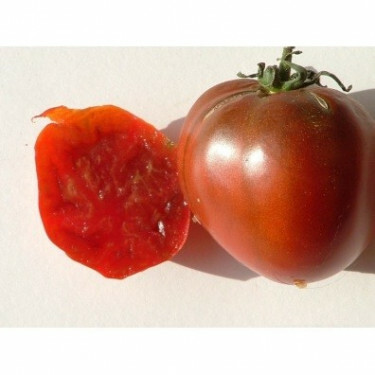 Tomate - Black Prince - BIO - promo 50% pour cause de germination réduite