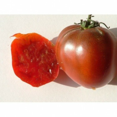 Tomate - Black Prince - BIO