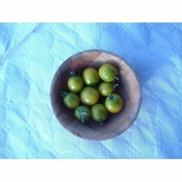 Tomate cerise - Raisin Vert - BIO