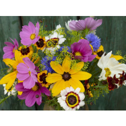 Mélange de fleurs d'été - Bauerngarten (Fleurs de jardin du ferme) - 1 à 100 g - BIODYNAMIQUE