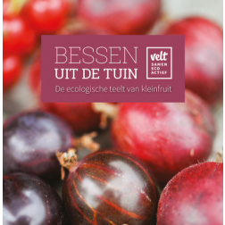 Bessen uit de tuin. De ecologische teelt van kleinfruit. Velt.