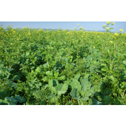 Mélange pour la biodiversité - 25 kg - BIO