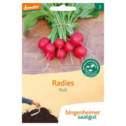 Radis - Bande de semences - Rudi - BIODYNAMIQUE