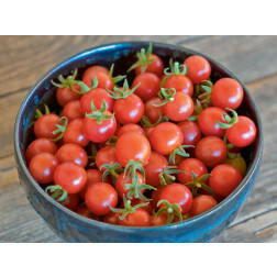 Tomate sauvage - Rote Murmel - BIODYNAMIQUE