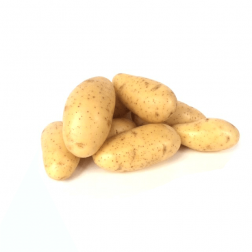 Plants de pomme de terre -Annabelle - taille A 28/30 - 1 kg - BIO