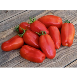 Tomate Roma - San Marzano - BIODYNAMIQUE