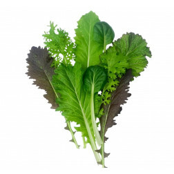 Salade Asia - Mélange de feuilles épicées - BIO