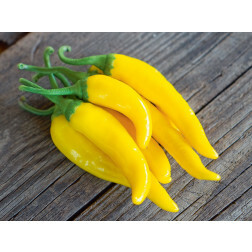 Piment - Gelbes Rüsselchen - BIODYNAMIQUE
