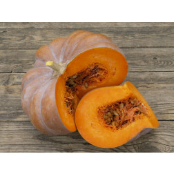 Courge - Muscat de Provence - BIODYNAMIQUE