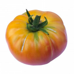 Tomate - Ananas - BIO