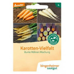 Carotte - mélange - BIODYNAMIQUE - 50% de remise pour cause de germination réduite