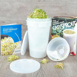 Kit de culture Easy-sprout