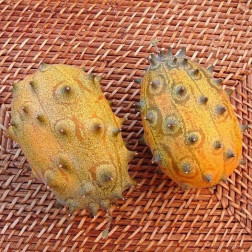 Concombre du Kénia - Kiwano - BIO