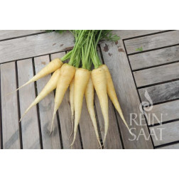 Carotte - Maruschka - BIO - 50% remise - germination réduite