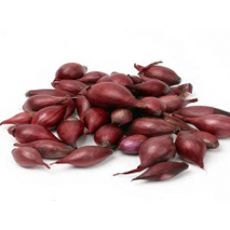 Oignon rouge - Red Baron - taille 10/22 - 500g - BIO