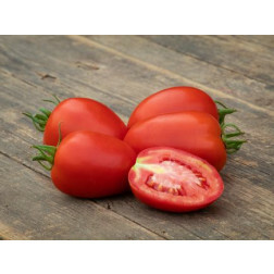 Tomate prune - Rio Grande - BIODYNAMIQUE