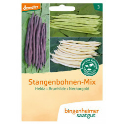 Haricot à rames - Mélange - BIODYNAMIQUE