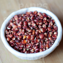 Maïs Polenta - Pignolet - BIO