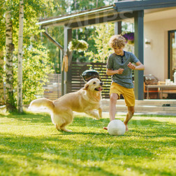 Mélange gazon pour pelouse et jeux - 500g - pour 20 m² - BIO