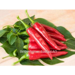 Piment - De Cayenne - BIODYNAMIQUE