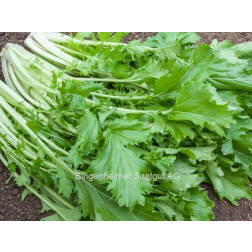 Navette d'été - Namenia - BIODYNAMIQUE