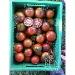 Tomate - Black Trifele - BIODYNAMIQUE