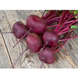 Betterave rouge - Egyptische platronde - BIODYNAMIQUE